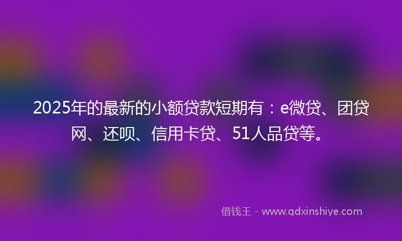 2025年的最新的小额贷款短期有：e微贷、团贷网、还呗、信用卡贷、51人品贷等。