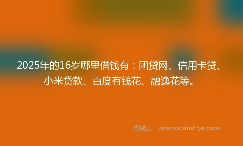 2025年的16岁哪里借钱有：团贷网、信用卡贷、小米贷款、百度有钱花、融逸花等。