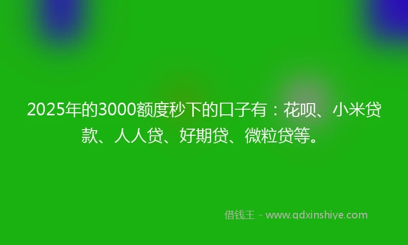 2025年的3000额度秒下的口子有：花呗、小米贷款、人人贷、好期贷、微粒贷等。
