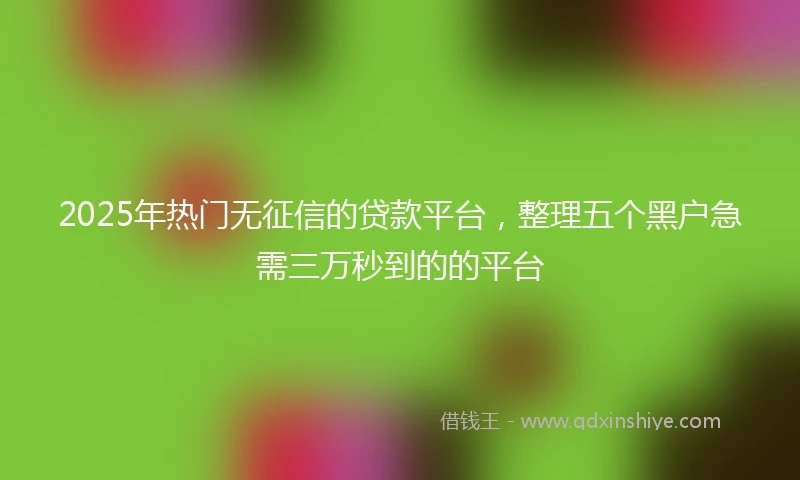 2025年热门无征信的贷款平台，整理五个黑户急需三万秒到的的平台