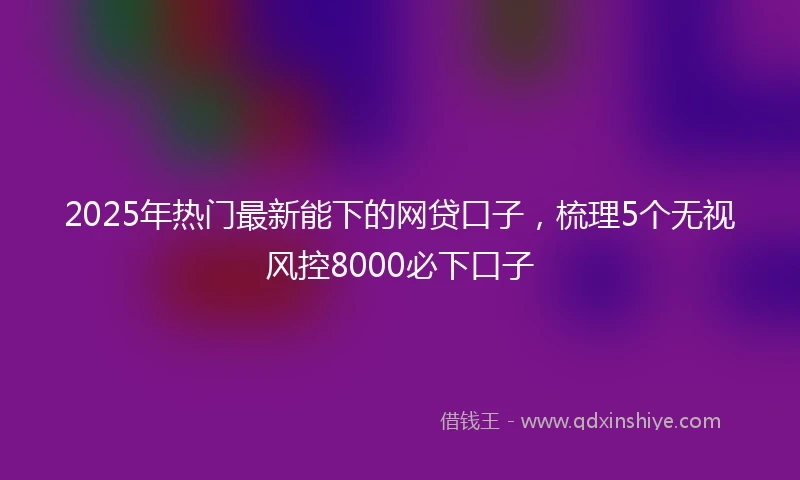 2025年热门最新能下的网贷口子，梳理5个无视风控8000必下口子