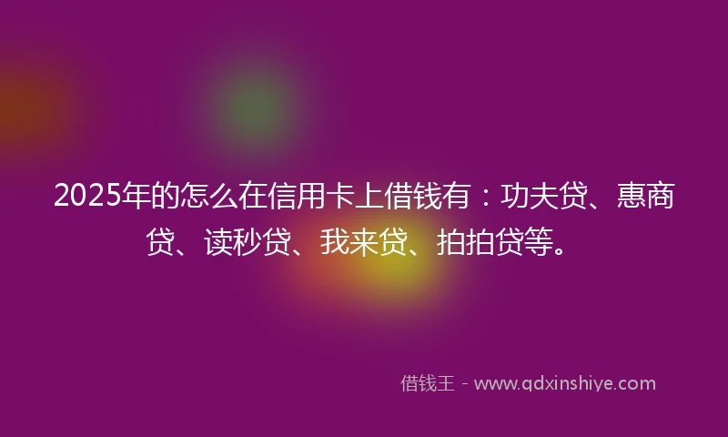 2025年的怎么在信用卡上借钱有：功夫贷、惠商贷、读秒贷、我来贷、拍拍贷等。