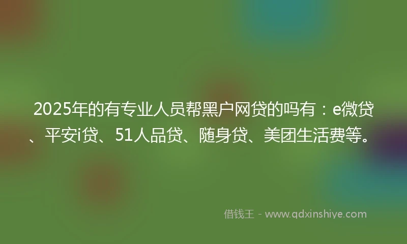 2025年的有专业人员帮黑户网贷的吗有：e微贷、平安i贷、51人品贷、随身贷、美团生活费等。