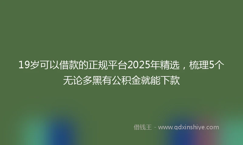 19岁可以借款的正规平台2025年精选，梳理5个无论多黑有公积金就能下款