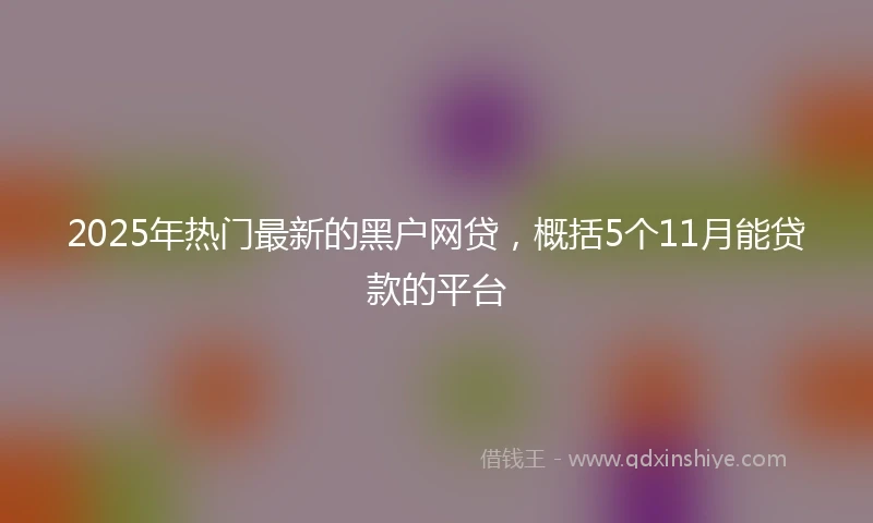 2025年热门最新的黑户网贷，概括5个11月能贷款的平台