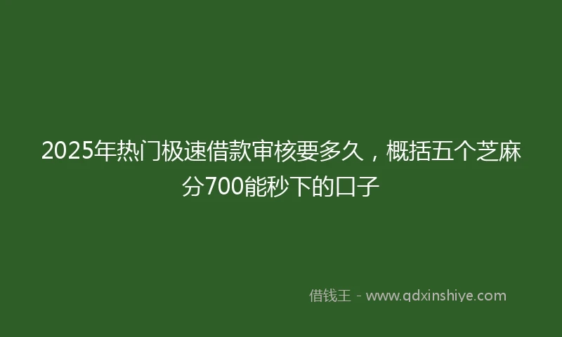 2025年热门极速借款审核要多久，概括五个芝麻分700能秒下的口子