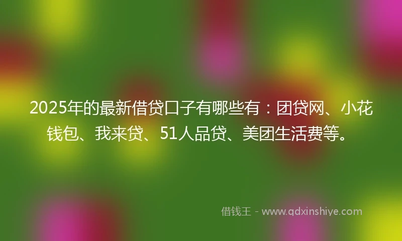 2025年的最新借贷口子有哪些有：团贷网、小花钱包、我来贷、51人品贷、美团生活费等。