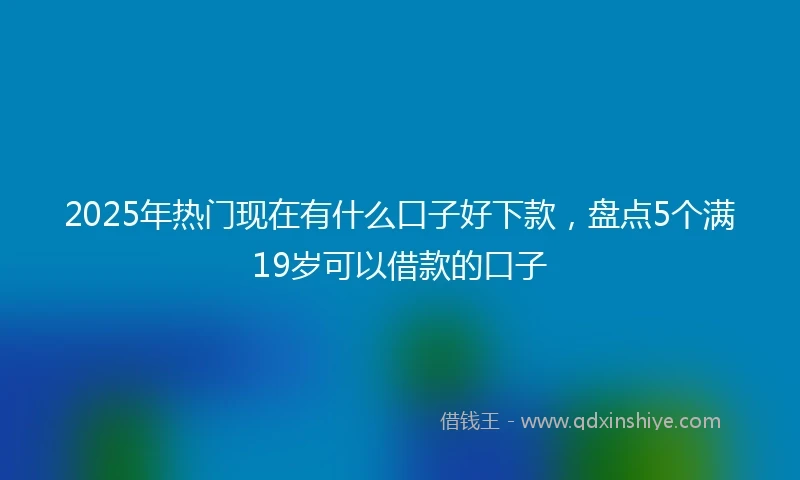 2025年热门现在有什么口子好下款，盘点5个满19岁可以借款的口子
