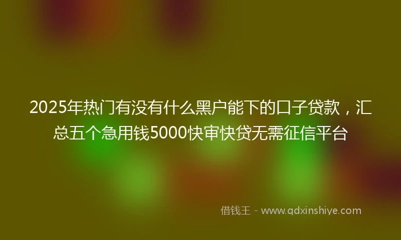 2025年热门有没有什么黑户能下的口子贷款，汇总五个急用钱5000快审快贷无需征信平台