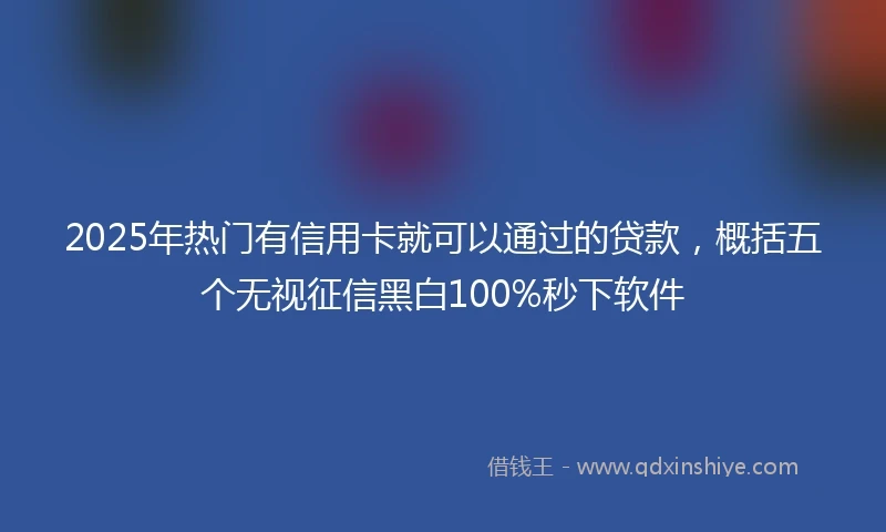 2025年热门有信用卡就可以通过的贷款，概括五个无视征信黑白100%秒下软件
