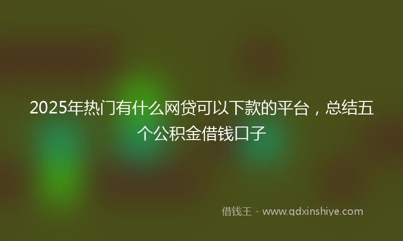 2025年热门有什么网贷可以下款的平台，总结五个公积金借钱口子