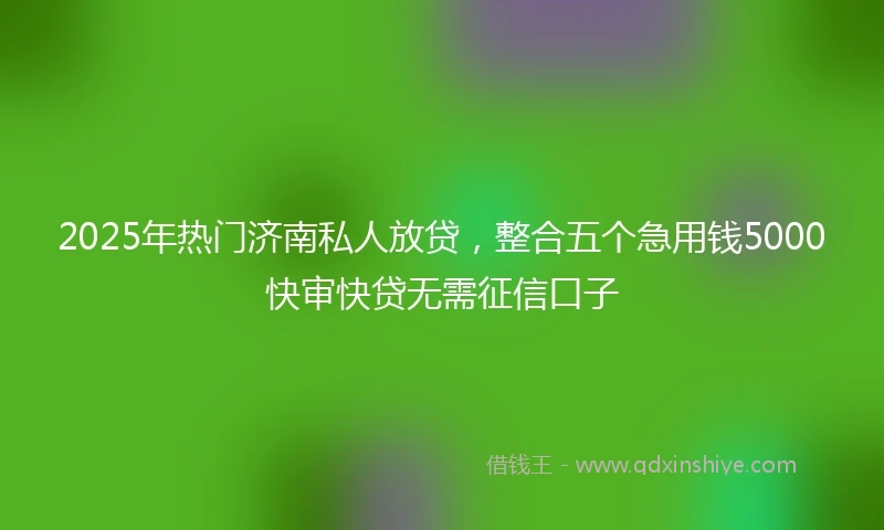 2025年热门济南私人放贷，整合五个急用钱5000快审快贷无需征信口子