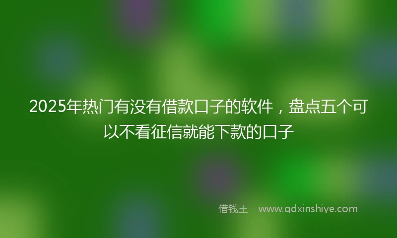 2025年热门有没有借款口子的软件，盘点五个可以不看征信就能下款的口子