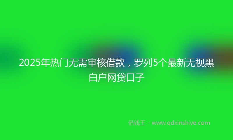 2025年热门无需审核借款，罗列5个最新无视黑白户网贷口子