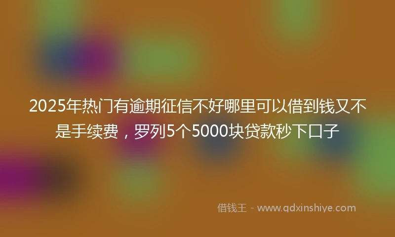 2025年热门有逾期征信不好哪里可以借到钱又不是手续费，罗列5个5000块贷款秒下口子