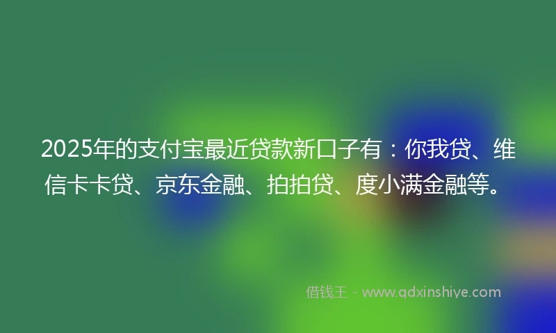 2025年的支付宝最近贷款新口子有：你我贷、维信卡卡贷、京东金融、拍拍贷、度小满金融等。