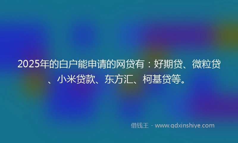 2025年的白户能申请的网贷有：好期贷、微粒贷、小米贷款、东方汇、柯基贷等。