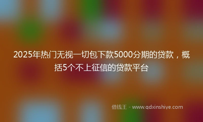 2025年热门无视一切包下款5000分期的贷款，概括5个不上征信的贷款平台