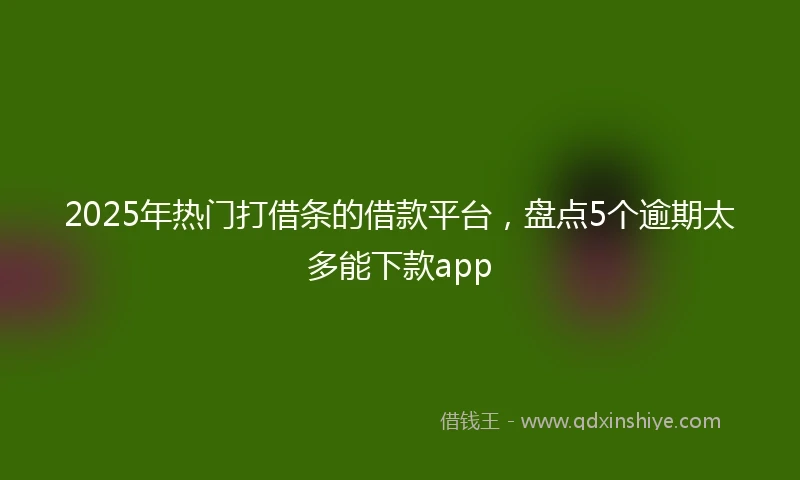 2025年热门打借条的借款平台，盘点5个逾期太多能下款app