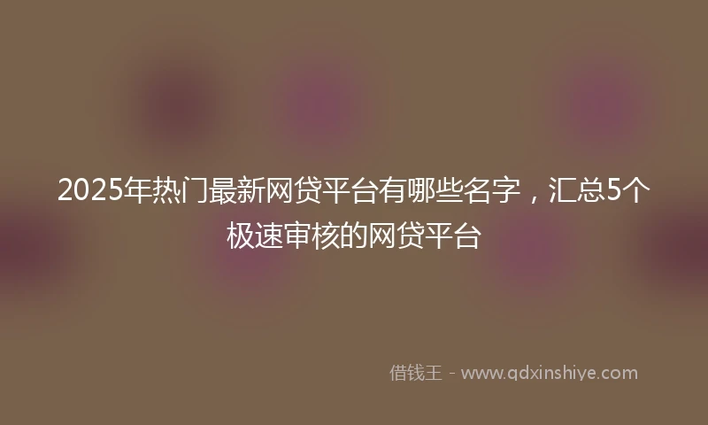 2025年热门最新网贷平台有哪些名字，汇总5个极速审核的网贷平台