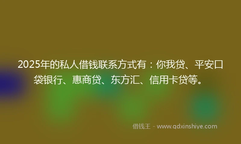 2025年的私人借钱联系方式有:你我贷、平安口袋银行、惠商贷、东方汇、信用卡贷等。