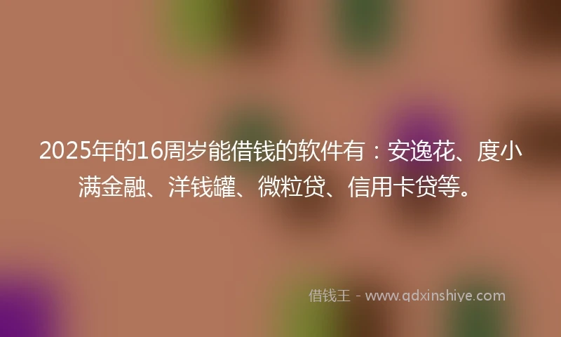 2025年的16周岁能借钱的软件有：安逸花、度小满金融、洋钱罐、微粒贷、信用卡贷等。
