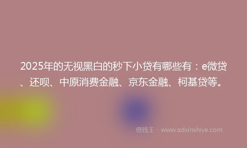 2025年的无视黑白的秒下小贷有哪些有：e微贷、还呗、中原消费金融、京东金融、柯基贷等。