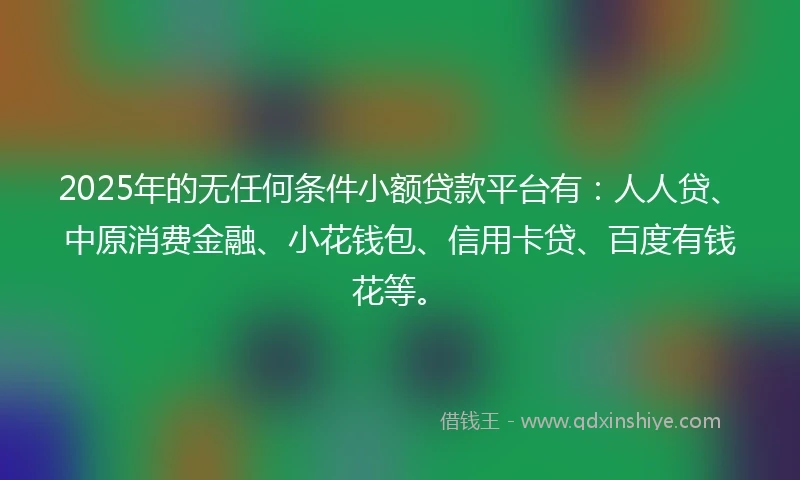 2025年的无任何条件小额贷款平台有：人人贷、中原消费金融、小花钱包、信用卡贷、百度有钱花等。