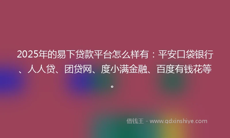 2025年的易下贷款平台怎么样有：平安口袋银行、人人贷、团贷网、度小满金融、百度有钱花等。