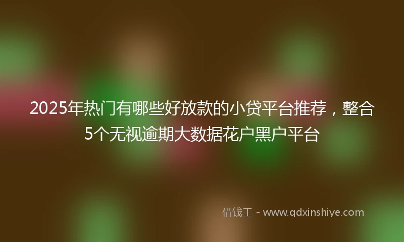 2025年热门有哪些好放款的小贷平台推荐，整合5个无视逾期大数据花户黑户平台
