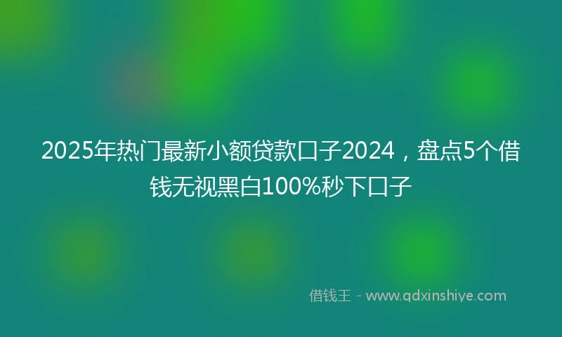 2025年热门最新小额贷款口子2024，盘点5个借钱无视黑白100%秒下口子
