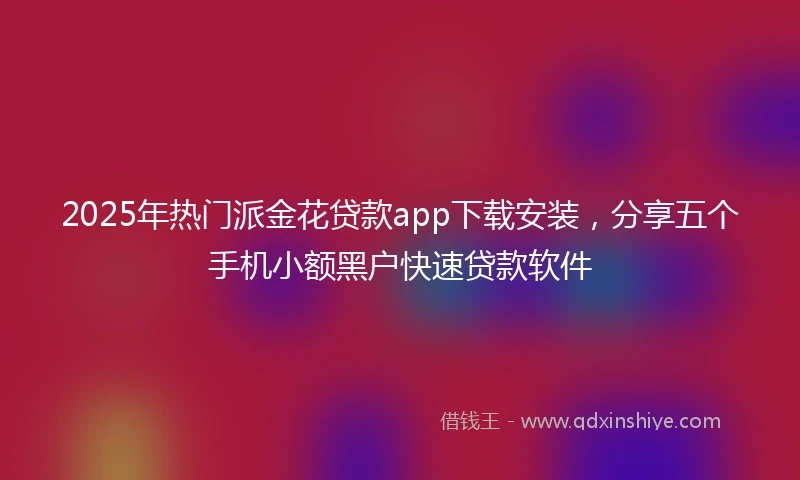 2025年热门派金花贷款app下载安装，分享五个手机小额黑户快速贷款软件