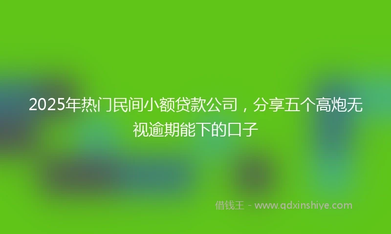 2025年热门民间小额贷款公司，分享五个高炮无视逾期能下的口子