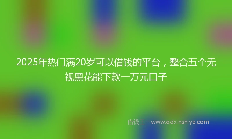 2025年热门满20岁可以借钱的平台，整合五个无视黑花能下款一万元口子