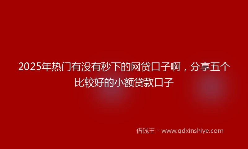 2025年热门有没有秒下的网贷口子啊，分享五个比较好的小额贷款口子