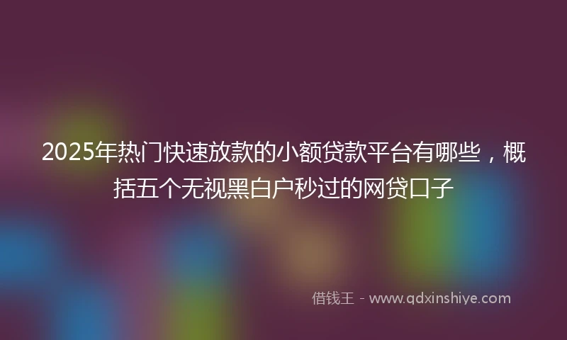 2025年热门快速放款的小额贷款平台有哪些，概括五个无视黑白户秒过的网贷口子