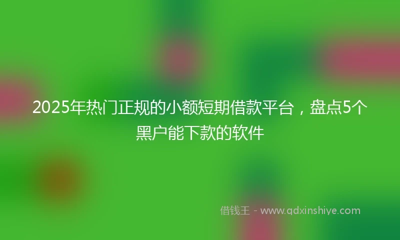 2025年热门正规的小额短期借款平台，盘点5个黑户能下款的软件