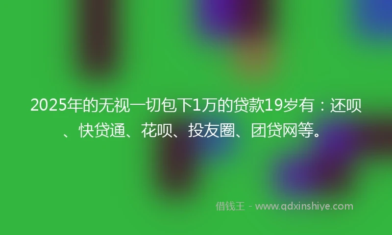 2025年的无视一切包下1万的贷款19岁有：还呗、快贷通、花呗、投友圈、团贷网等。