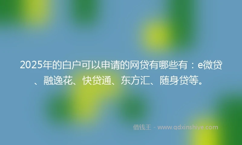 2025年的白户可以申请的网贷有哪些有：e微贷、融逸花、快贷通、东方汇、随身贷等。