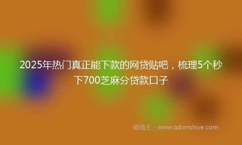 2025年热门真正能下款的网贷贴吧，梳理5个秒下700芝麻分贷款口子