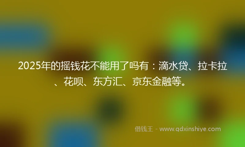 2025年的摇钱花不能用了吗有：滴水贷、拉卡拉、花呗、东方汇、京东金融等。