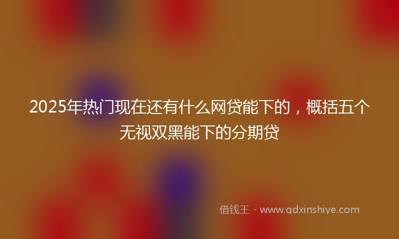 2025年热门现在还有什么网贷能下的，概括五个无视双黑能下的分期贷