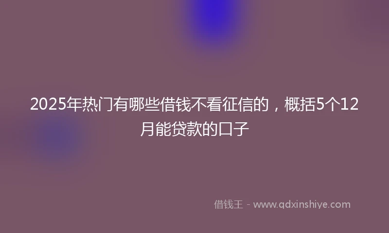 2025年热门有哪些借钱不看征信的，概括5个12月能贷款的口子
