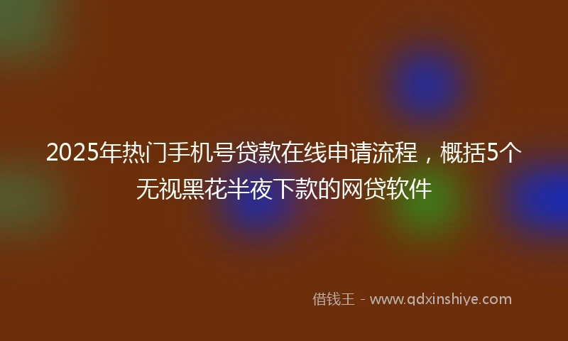 2025年热门手机号贷款在线申请流程，概括5个无视黑花半夜下款的网贷软件