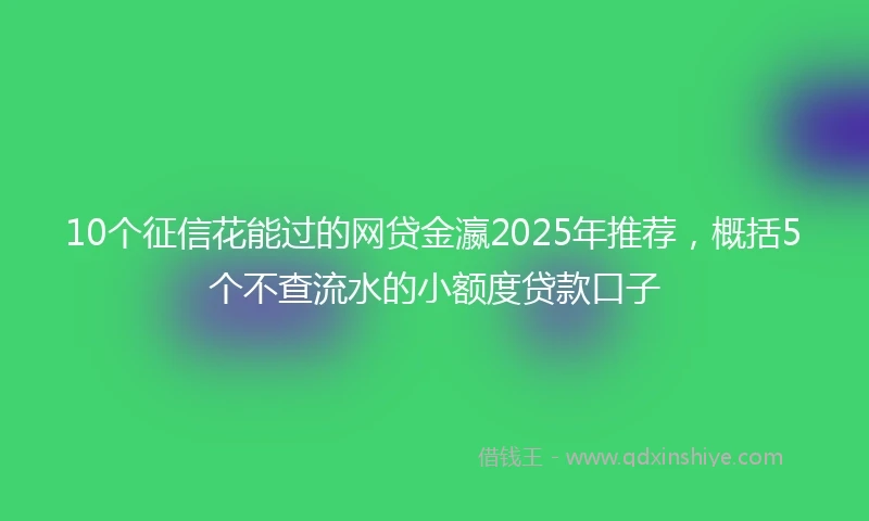 10个征信花能过的网贷金瀛2025年推荐，概括5个不查流水的小额度贷款口子