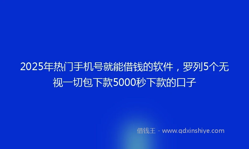 2025年热门手机号就能借钱的软件，罗列5个无视一切包下款5000秒下款的口子