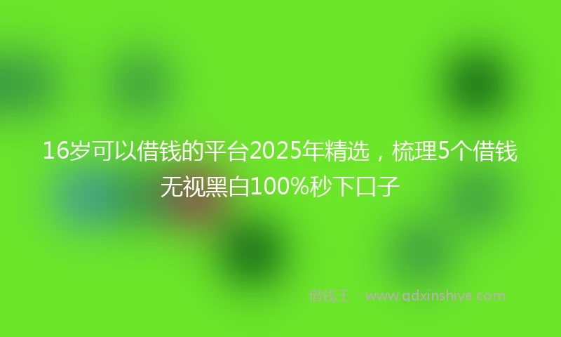 16岁可以借钱的平台2025年精选，梳理5个借钱无视黑白100%秒下口子