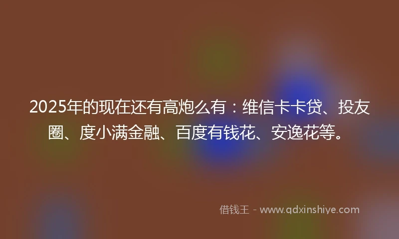 2025年的现在还有高炮么有：维信卡卡贷、投友圈、度小满金融、百度有钱花、安逸花等。