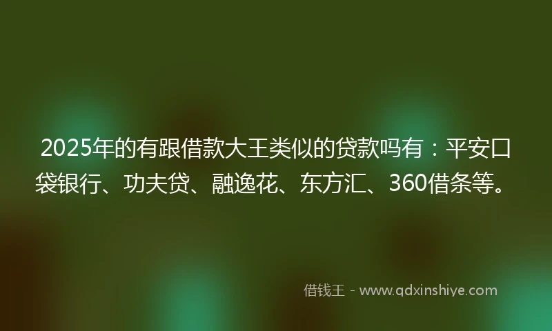 2025年的有跟借款大王类似的贷款吗有：平安口袋银行、功夫贷、融逸花、东方汇、360借条等。