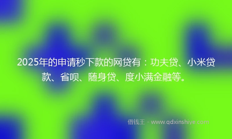 2025年的申请秒下款的网贷有：功夫贷、小米贷款、省呗、随身贷、度小满金融等。